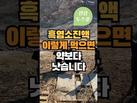 흑염소진액 먹는방법 이것만 기억하세요