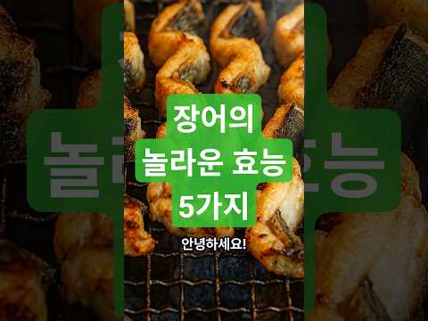 장어의 놀라운 효능